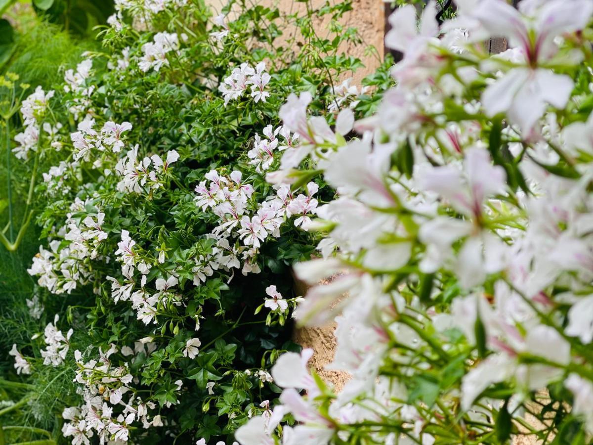 방스 Abeille B&B 외부 사진